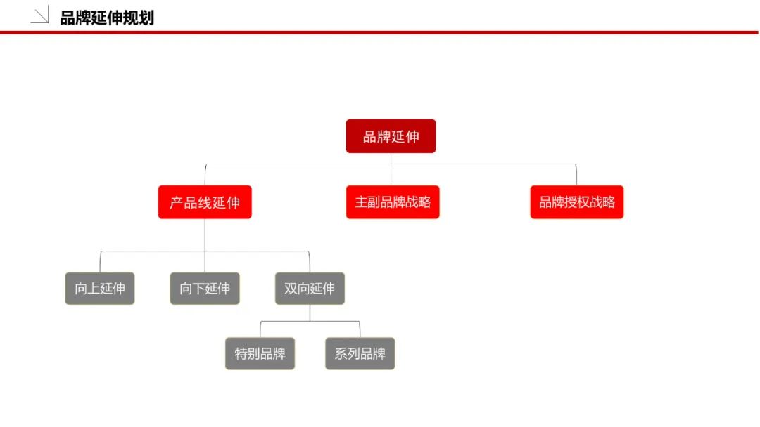 品牌策划方案怎么做（附品牌策划模板：36P）