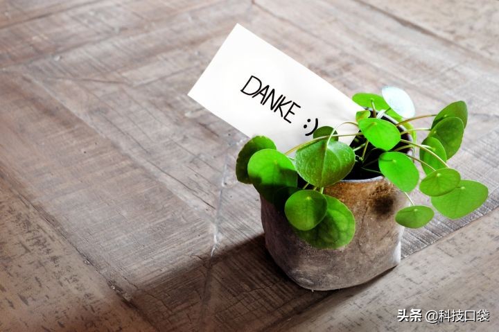 短视频免费软件哪个好用（分享两款免费软件的满足你对短视频的视听制作需求）