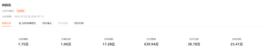 钟薛高雪糕广告策略（钟薛高高价雪糕品牌未来应如何走?）