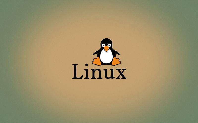 Linux中同步服务器时间（电脑时间同步服务器命令）