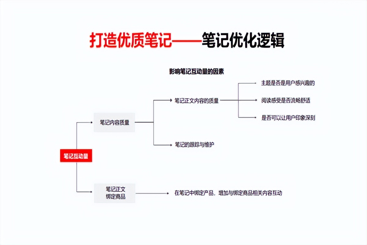 小红书什么笔记才是优质笔记?（小红书上笔记怎么能排名靠前？）