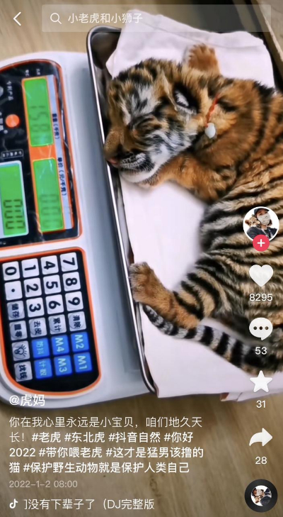 她用短视频记下这份“育儿日记”，获赞1700万（有赞商品短视频获赞怎样收费）