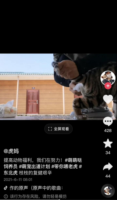 她用短视频记下这份“育儿日记”，获赞1700万（有赞商品短视频获赞怎样收费）
