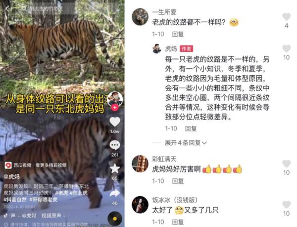 她用短视频记下这份“育儿日记”，获赞1700万（有赞商品短视频获赞怎样收费）