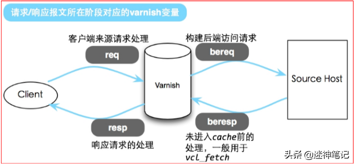 缓存服务器有哪些是什么（缓存服务器有哪些会保留用户缓存）