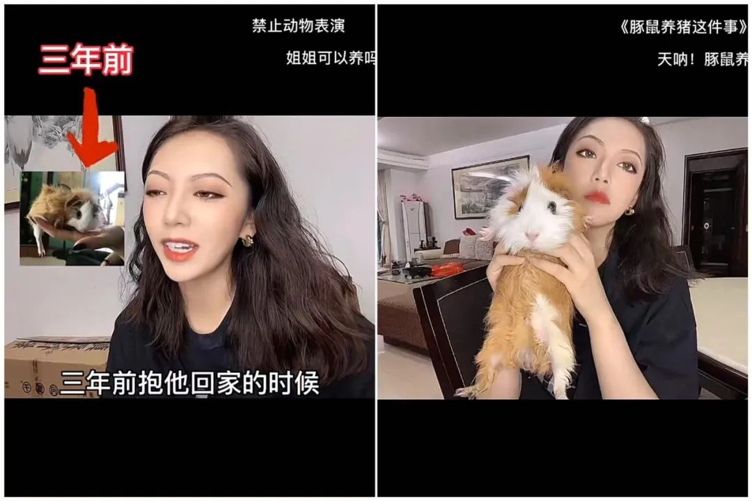 小红书容易涨粉吗（萌娃、剧情瓜分天下，小红书涨粉不靠种草）
