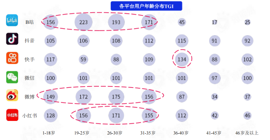 新媒体平台用户分析（盘点互联网各大新媒体平台的用户及平台调性和引流变现思路）
