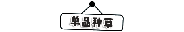 如何配合这个夏天搭配穿搭（分享很in的穿搭，洋气十足）