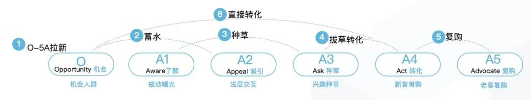 如何选择种草产品（新品牌如何高效种草）