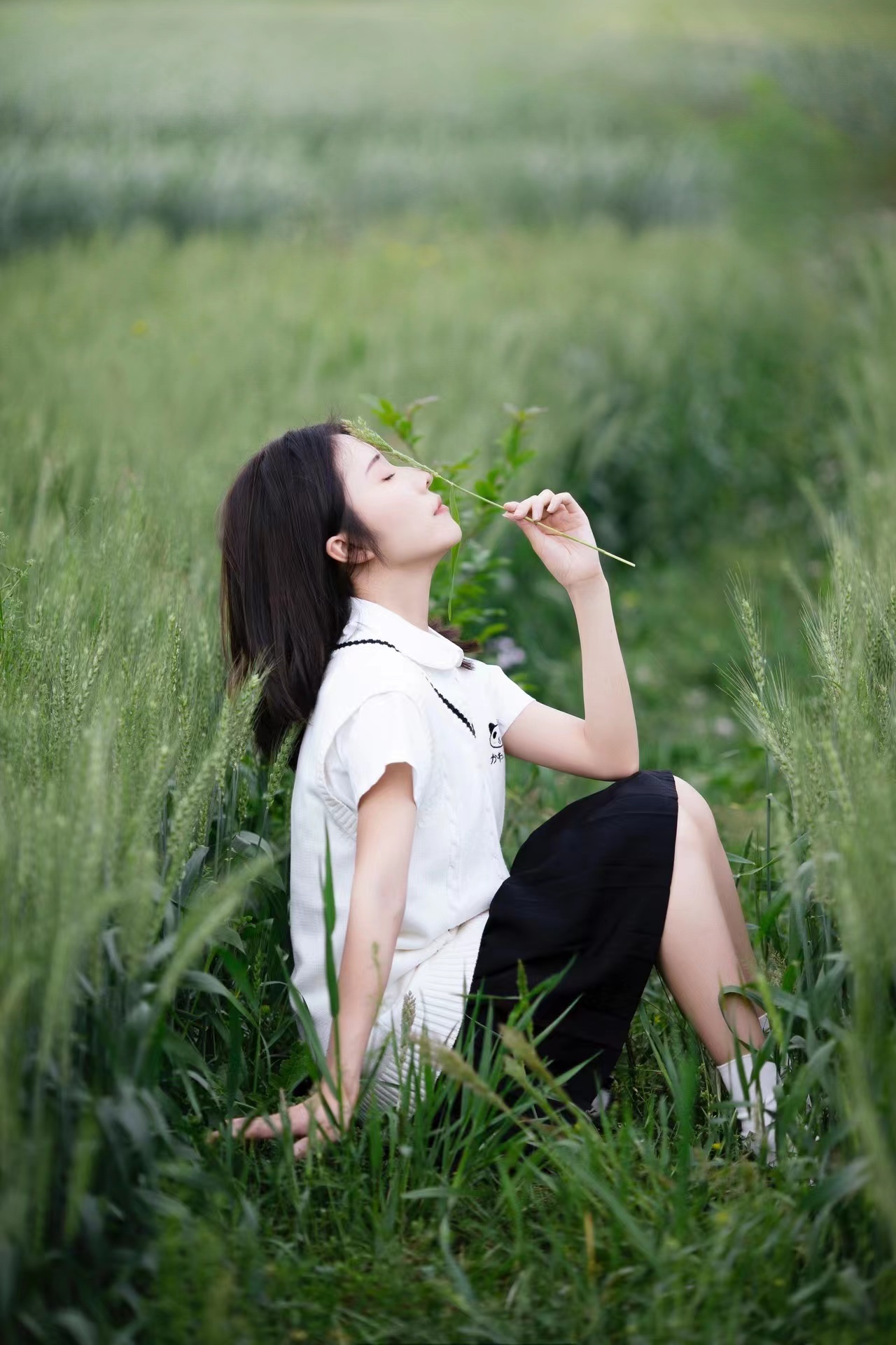 在绿色麦田里如何拍照好看（8张照片示例7个技巧）