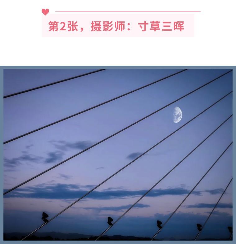 手机摄影技巧入门基础知识（内附20个小技巧分享）