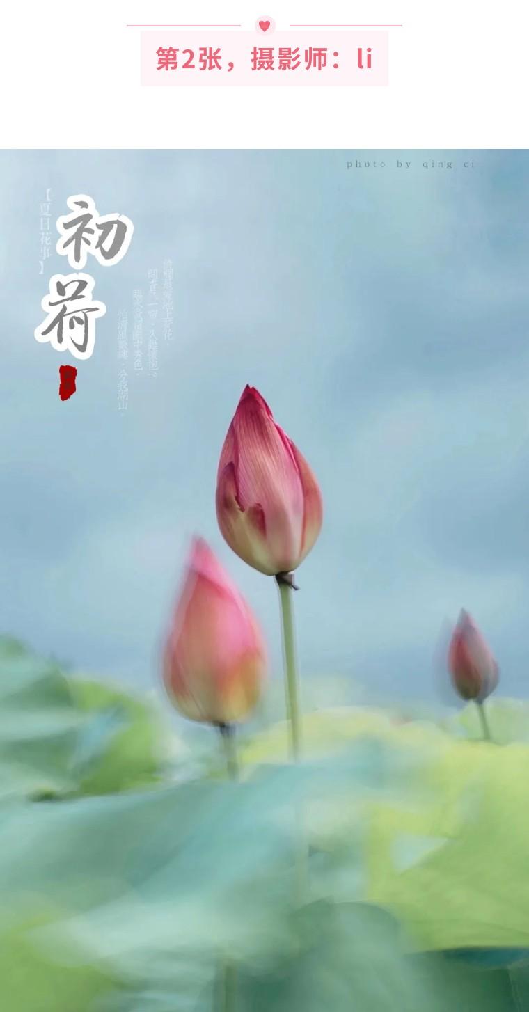 手机怎样拍照如何拍得更效果好（手机拍照如何拍得更好照好看的姿势）