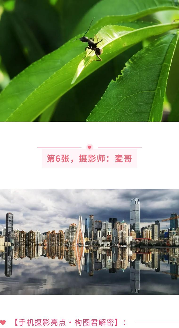 手机拍摄倒影的技巧（手机拍摄影基础知识入门与技术）