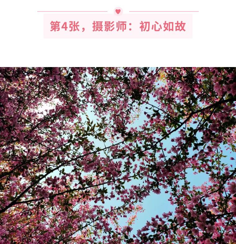 手机拍照摄影培训总结（手机拍照摄影的正确方法）