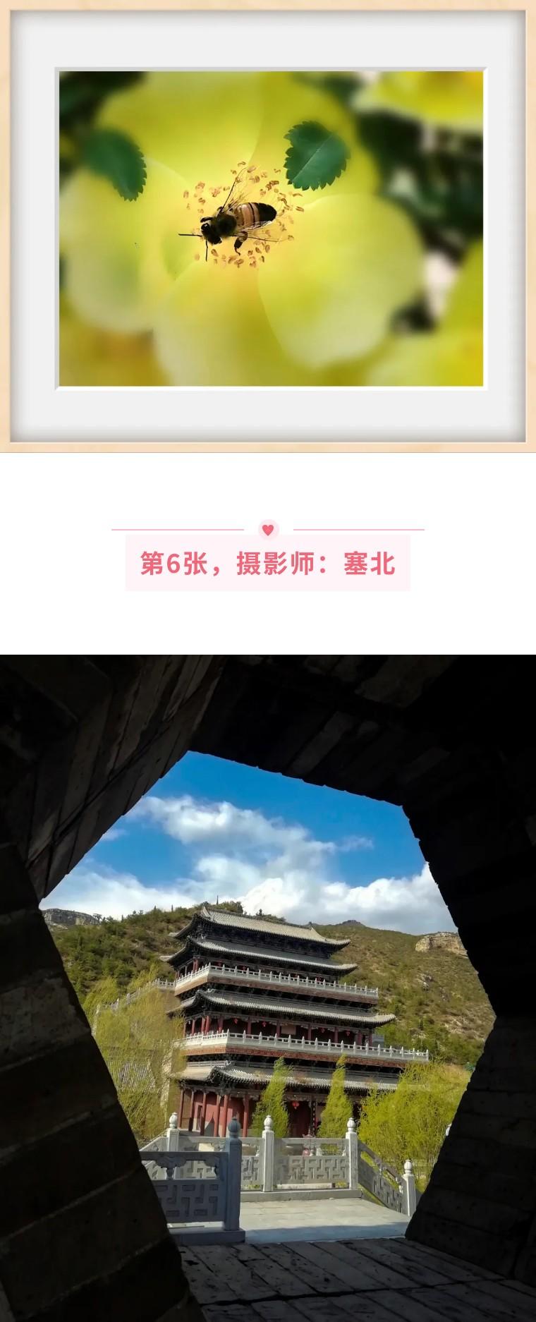 手机拍照摄影培训总结（手机拍照摄影的正确方法）