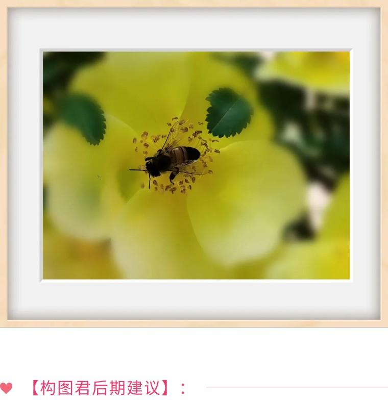 手机拍照摄影培训总结（手机拍照摄影的正确方法）