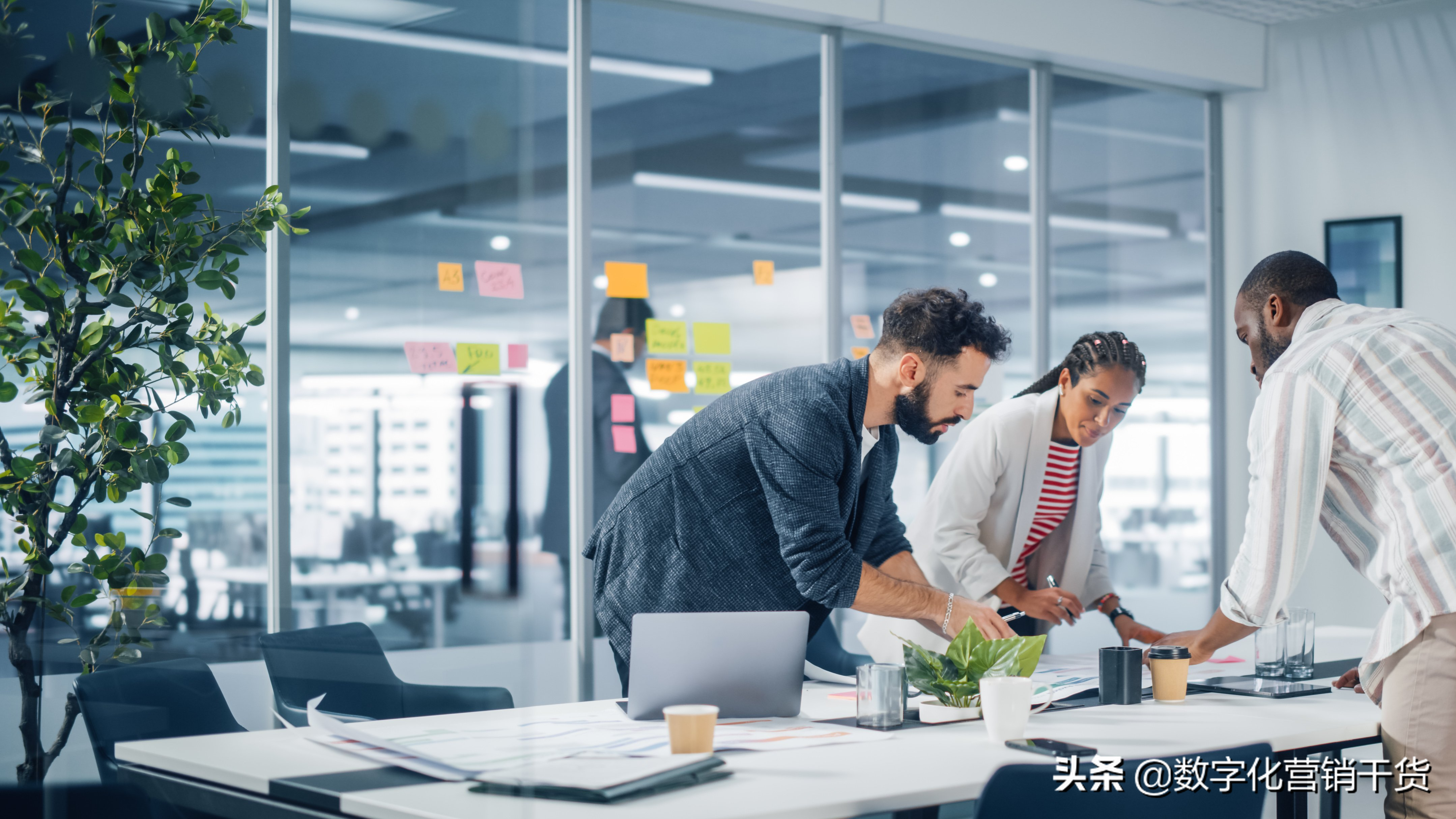 如何制定科技企业的营销计划和策略（创新创业营销模式和营销策略）
