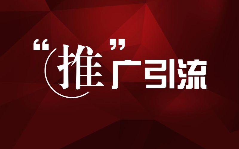 2022年seo引流的方法（SEO优化是什么）