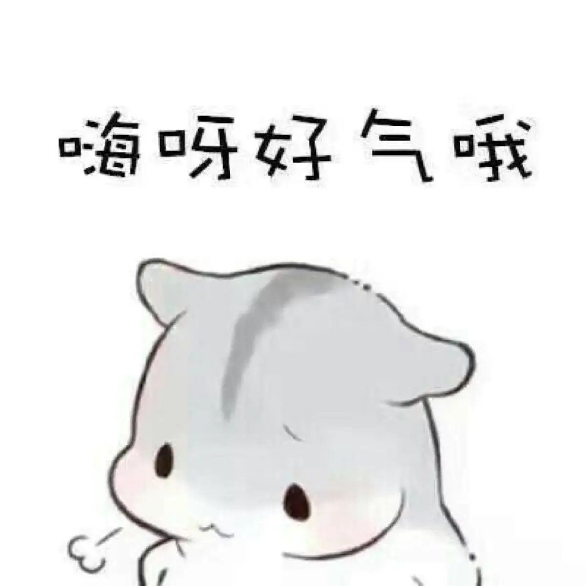 自己怎么搭建个人博客网站（如何自建博客）