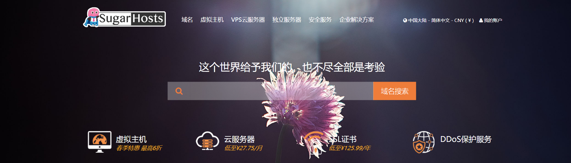 国内外虚拟主机比较研究（虚拟主机的特点有哪些）