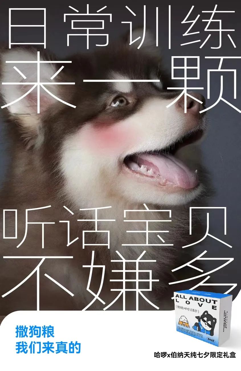 七夕情侣文案（七夕营销主角非情侣？哈啰换了个“有爱”思路玩出圈）