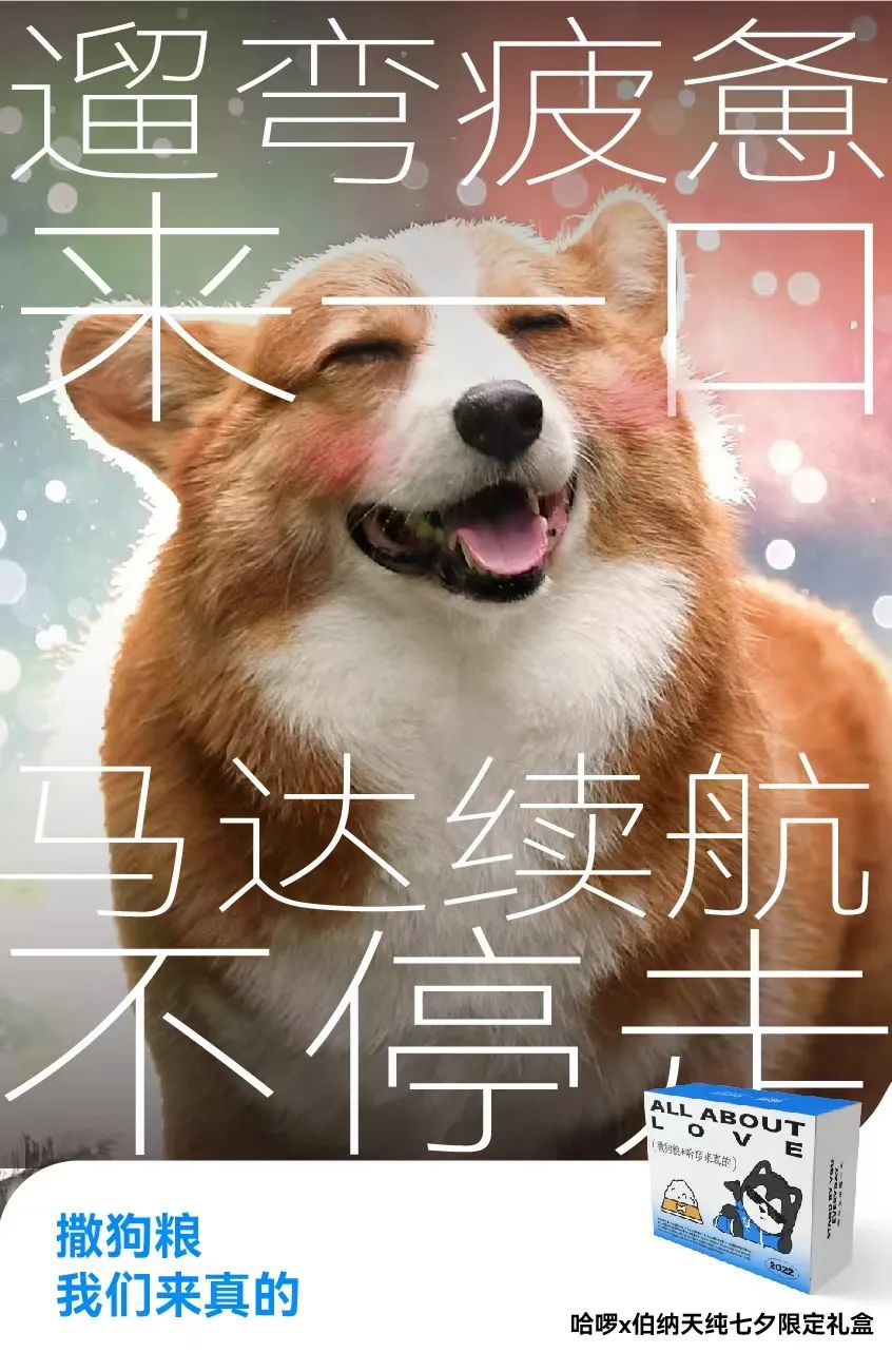 七夕情侣文案（七夕营销主角非情侣？哈啰换了个“有爱”思路玩出圈）