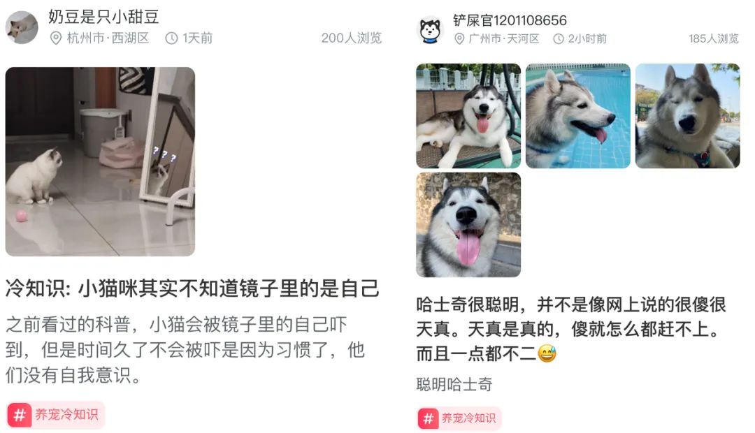 七夕情侣文案（七夕营销主角非情侣？哈啰换了个“有爱”思路玩出圈）