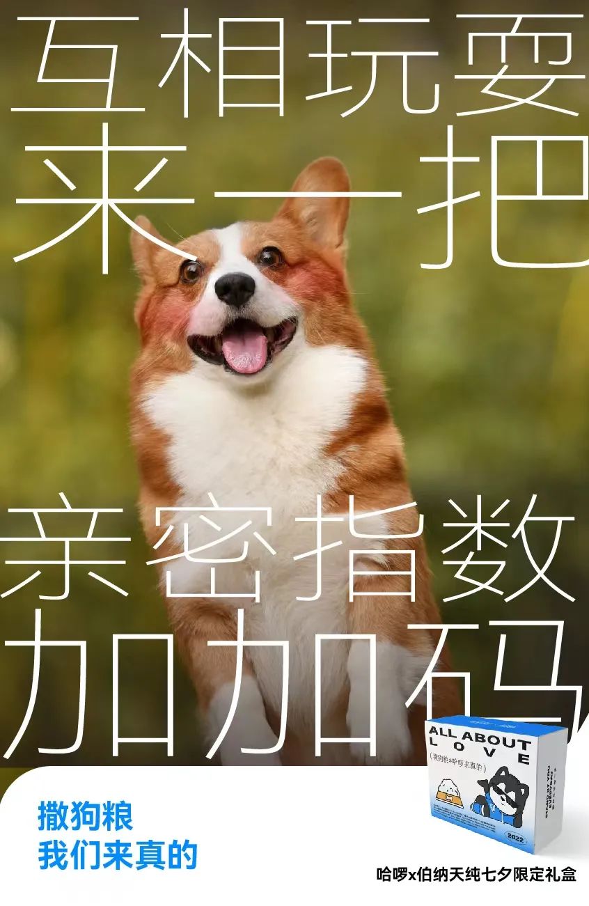 七夕情侣文案（七夕营销主角非情侣？哈啰换了个“有爱”思路玩出圈）