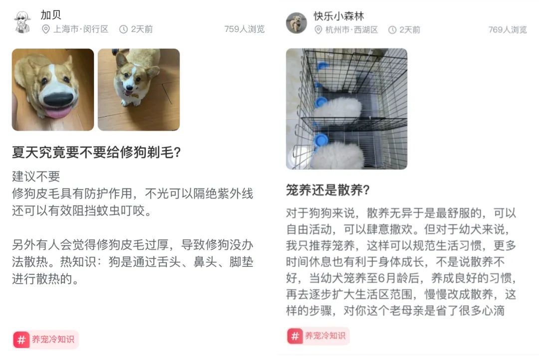 七夕情侣文案（七夕营销主角非情侣？哈啰换了个“有爱”思路玩出圈）