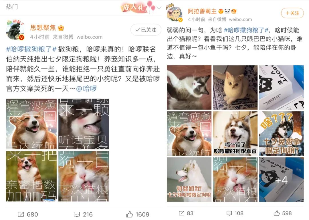 七夕情侣文案（七夕营销主角非情侣？哈啰换了个“有爱”思路玩出圈）