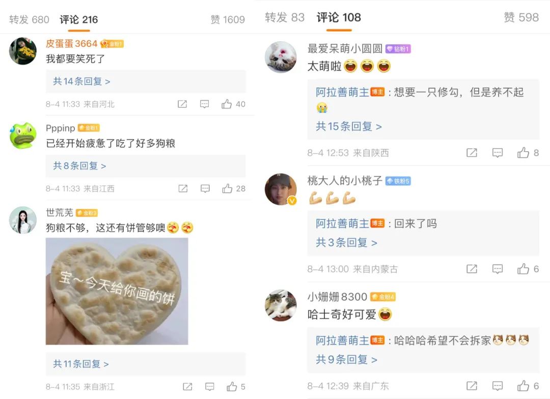 七夕情侣文案（七夕营销主角非情侣？哈啰换了个“有爱”思路玩出圈）