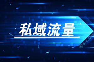 如何玩转私域流量（私域营销战略）