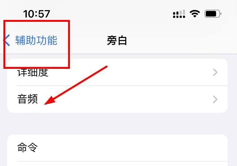 iphone13怎么关闭旁白? （iPhone13设置旁白的活动方法）