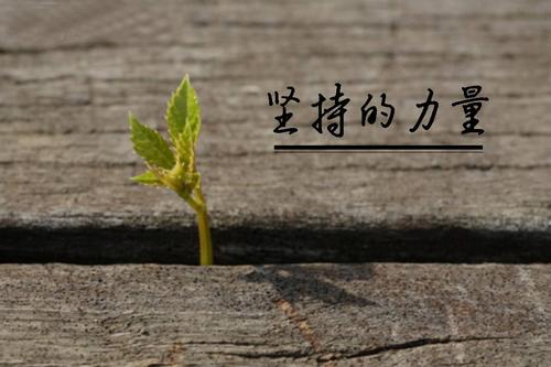 做自媒体要每天更新吗（什么是自媒体矩阵的特点）
