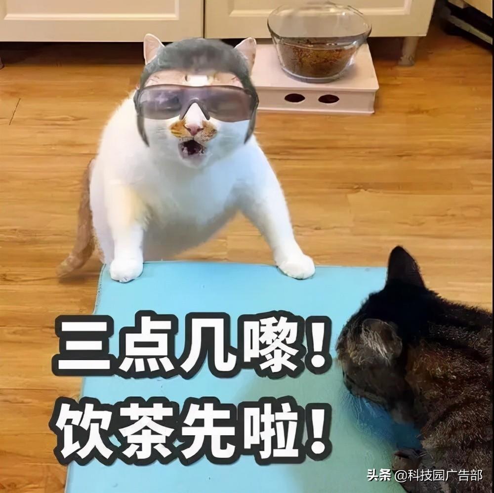 喜茶的渠道策略分析（什么是私域变现）