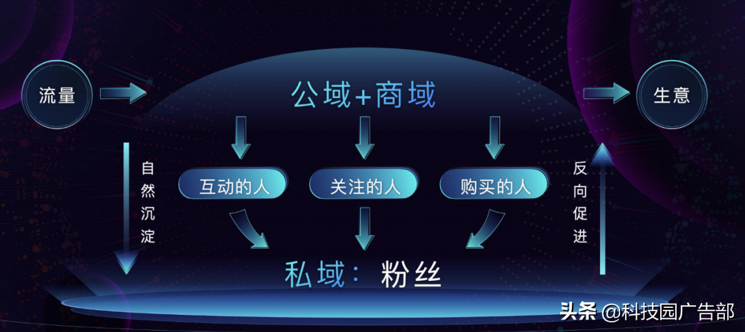 抖音新私域最大团队（抖音的私域流量营销）