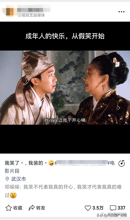 不出境可以拍什么视频赚钱（视频号涨粉最快方法）