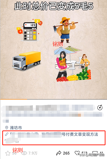 不出境可以拍什么视频赚钱（视频号涨粉最快方法）