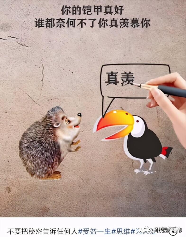 不出境可以拍什么视频赚钱（视频号涨粉最快方法）