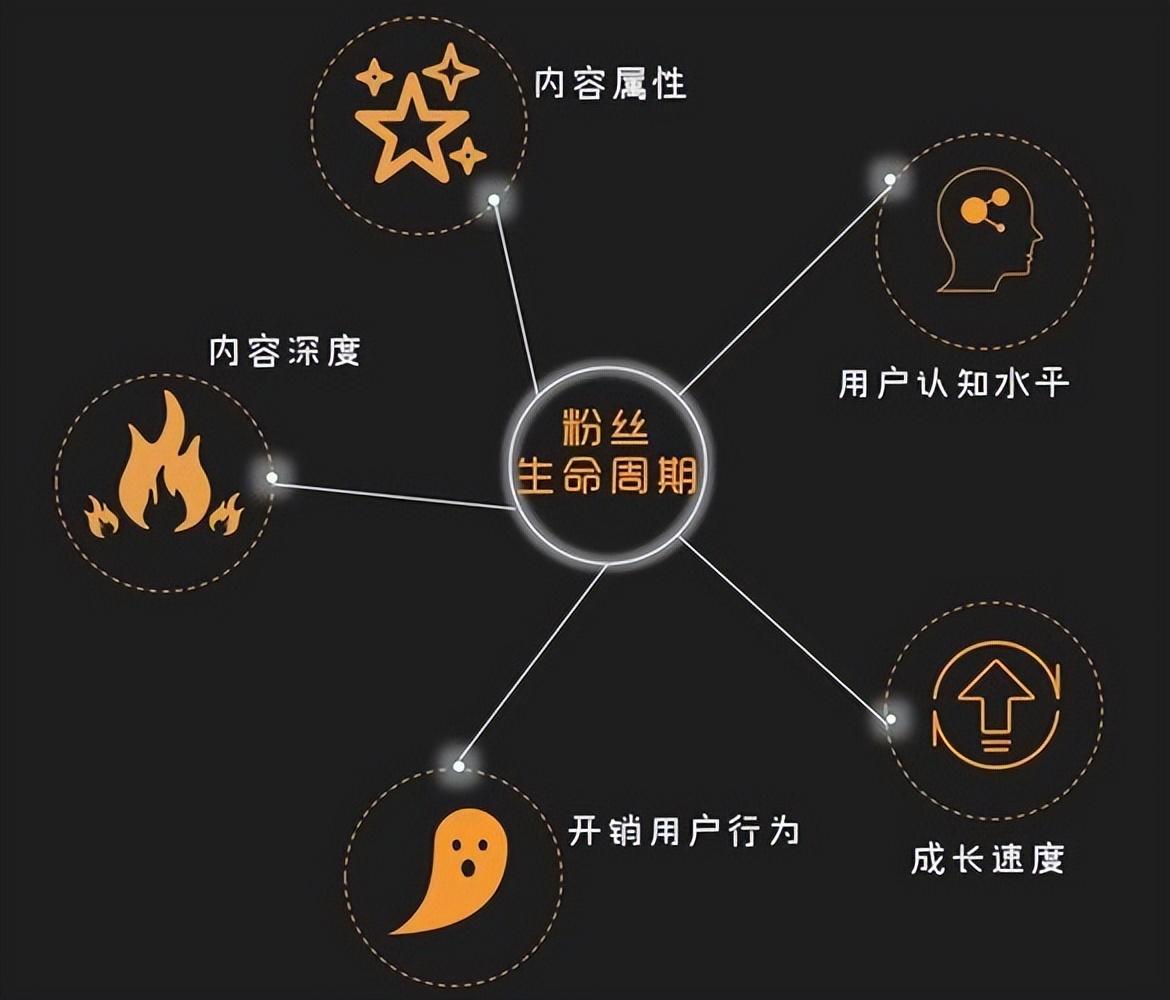 互联网电子商务怎么做（企业如何做好电子商务）