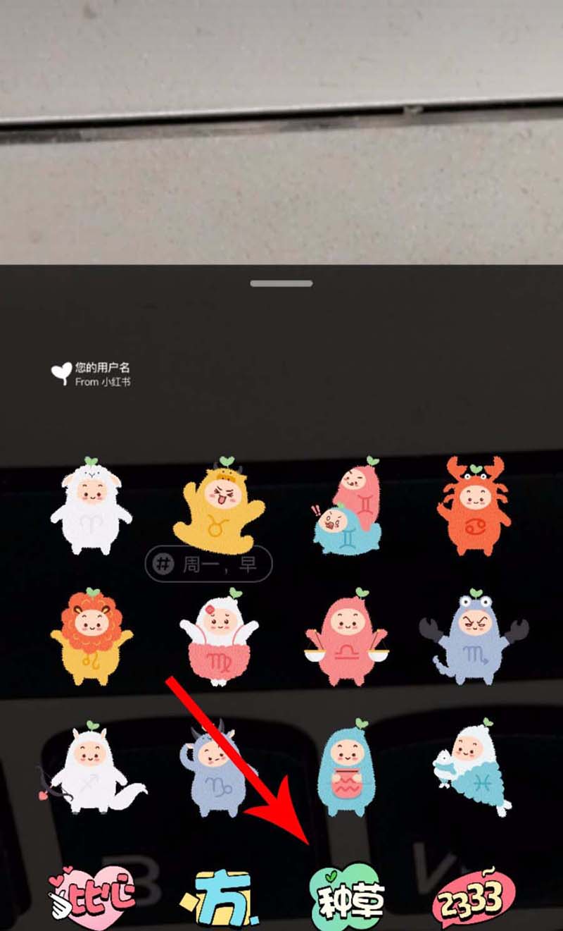 上传小红书视频是什么软件（app怎么发布小视频）