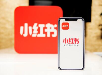 小红书笔记怎么看审核通过（笔记审核内容有哪些）