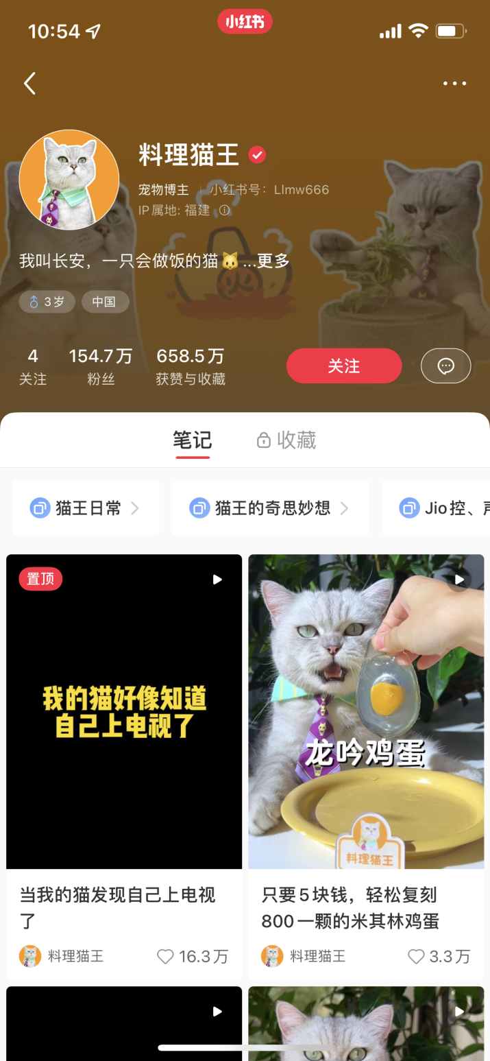 小红书百万粉丝的博主（小红书博主是怎么变现的）