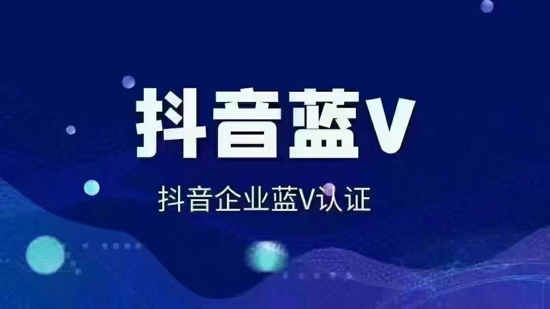 抖音SEO公司（抖音seo优化服务）