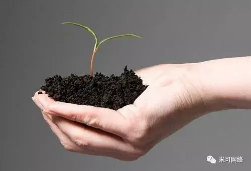 seo网站布局关键词作用（公司网站怎么自己做关键词优化）