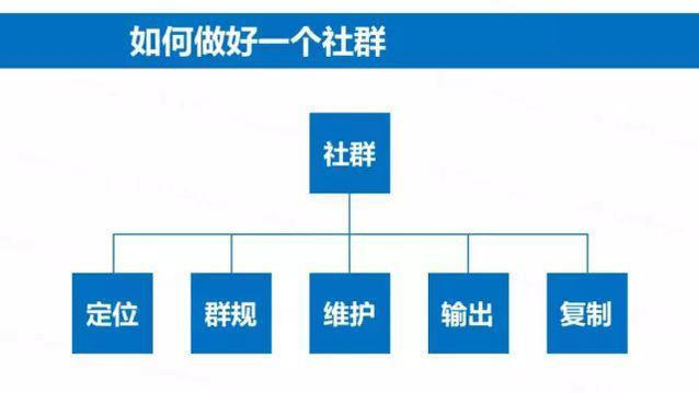 社群营销的运营策略有哪些（分析社群营销的过程）