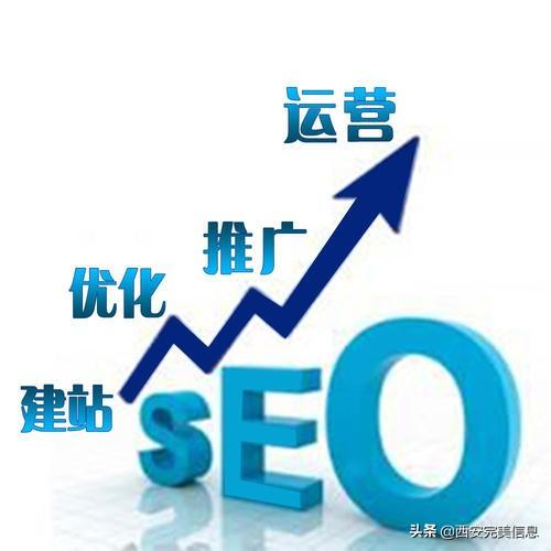 SEO优化网站排名提高（如何进行seo优化排名）