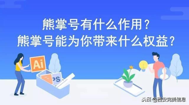 什么是熊掌号?有什么作用?（熊掌号还有用吗）