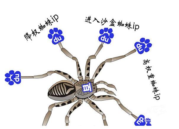 seo站内优化有哪些（seo网站优化专员）