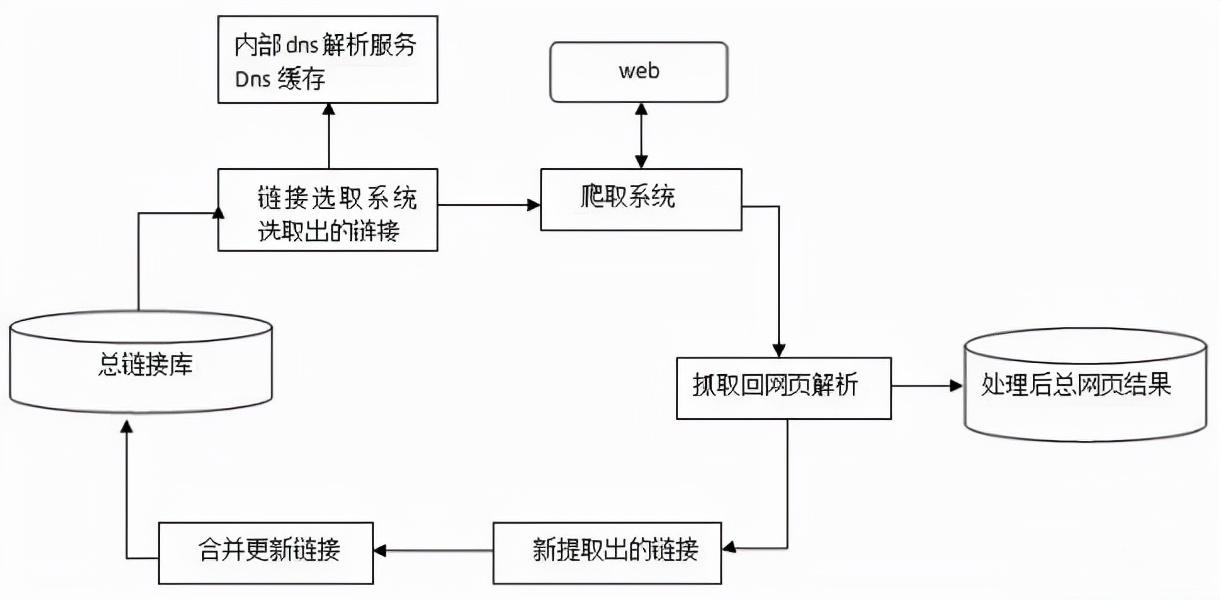 百度蜘蛛爬行规律（百度蜘蛛多久抓取一次）